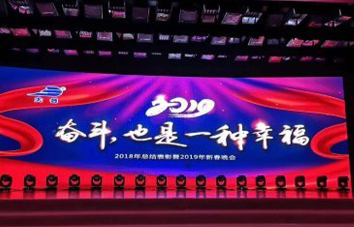 “奮斗，也是一種幸福”大名集團(tuán)2018年總結(jié)表彰暨2019年新春晚會(huì)
