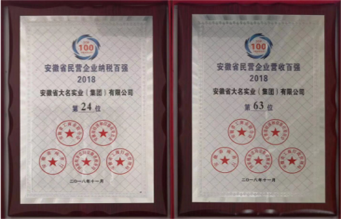 2018年安徽省民營企業(yè)百強，安徽省大名實業(yè)（集團）有限公司榜上有名
