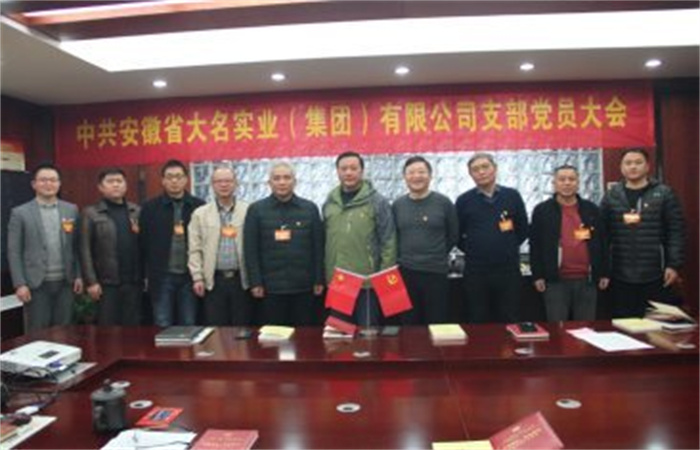 凝心聚力開啟新征程，砥礪奮進譜寫新篇章  ——記中共安徽省大名實業(yè)（集團）有限公司支部換屆選舉大會順利召開
